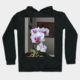 Orchids Hoodie